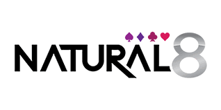 Natural8 logo